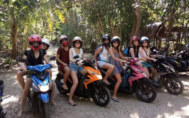Bohol Coco Farm - Adults Only Hostel