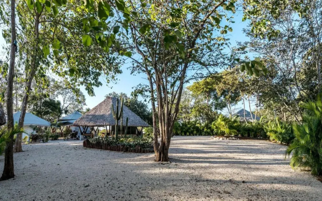 Mikado Natural Lodge