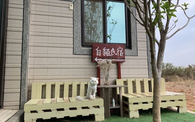 White Cat B&B