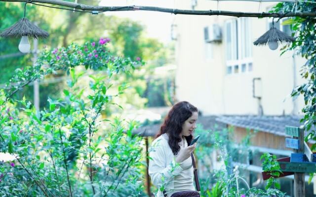 The Cosy Garden