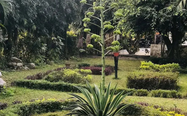 Royal Tiger Safari Resort
