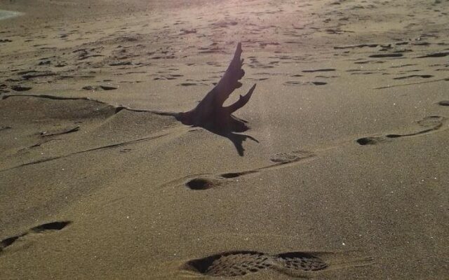 GÎTE Au bonheur du voyageur!
