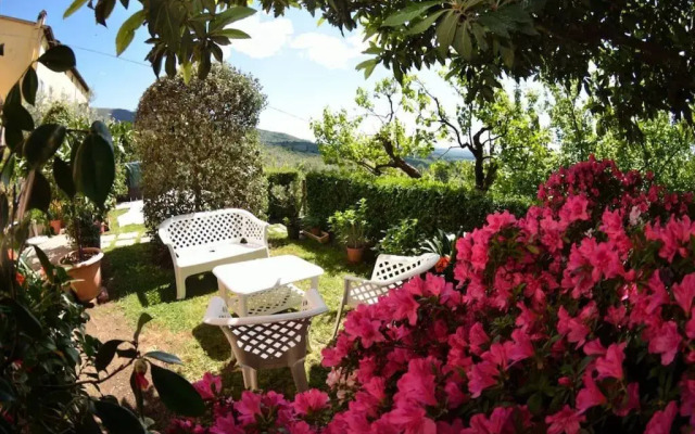 Alla Collina Del Sole