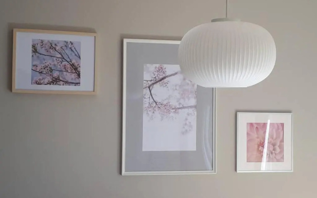 Cherry Flower - suburban area Zagreb