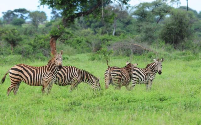 Leopard Rock Lodge