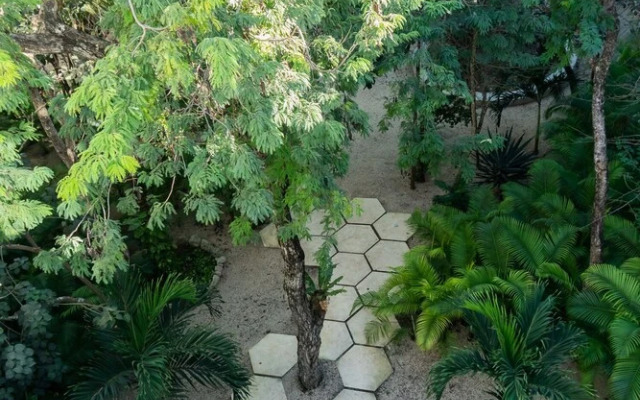 Penthouse 4C Panoramic Tulum by Oceanbnb