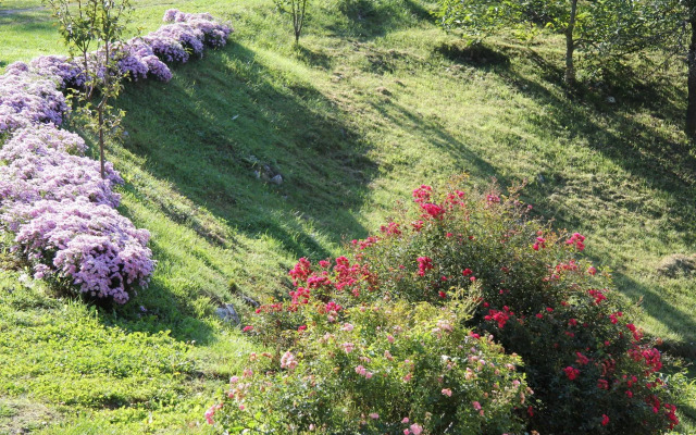 House Marija B&B