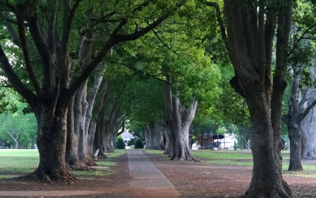Comfort Inn Grammar View