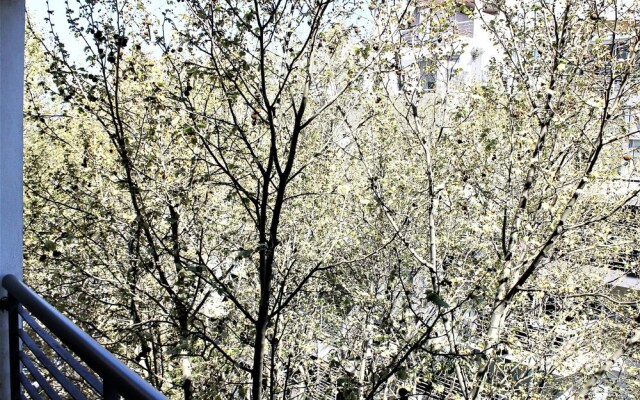 Studio Guatemala - By Hart