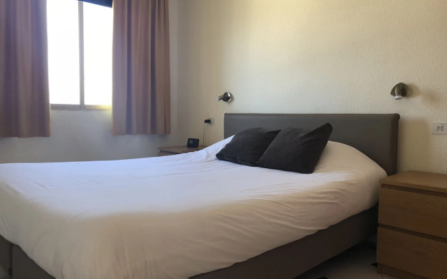Albir Up Paradise