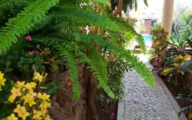 Hotel Quinta Real Las Palmas Malinalco