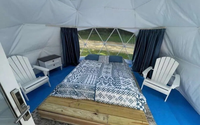 Harmony Tree Resorts