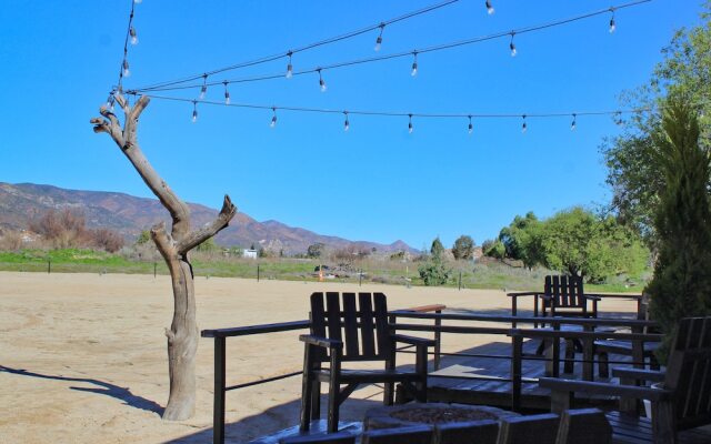 Rancho Dominique Valle de Guadalupe