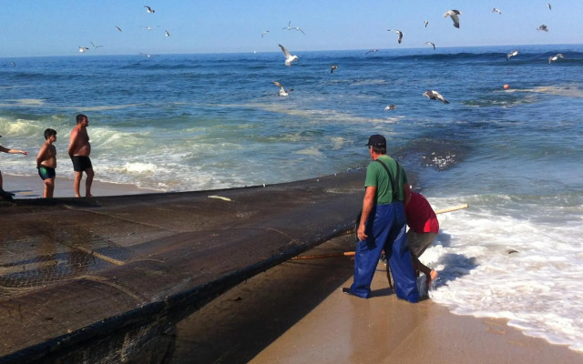 Verde Ria apartamento