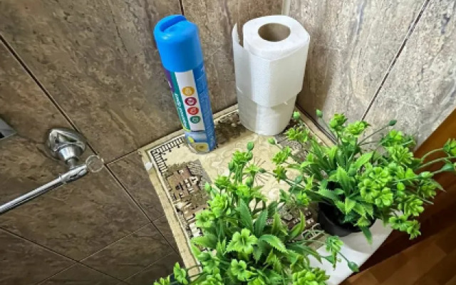 Апартаменты в г. Камышин на ул. Ленина 11