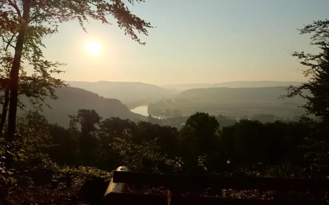 Stadt und Wald