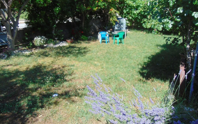 Comfortable Apartment Luka