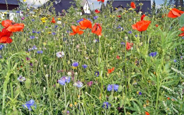 Winterberg Chalet 21096