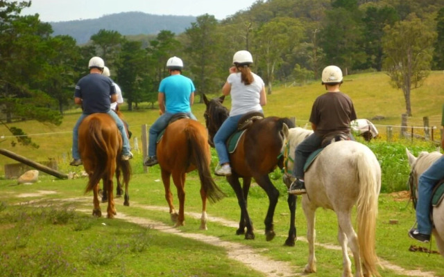 Adventure Tours Ni