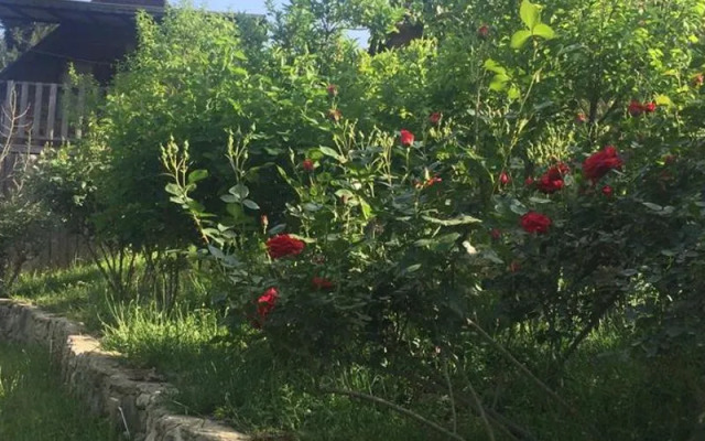 Olympos Otantik Pansiyon