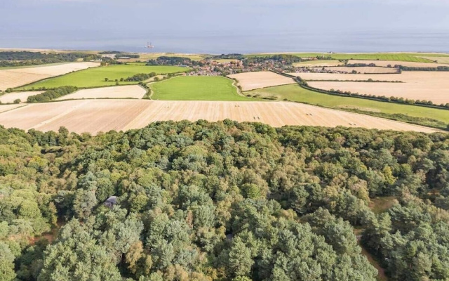 Pine Lodge - Kelling Heath Holiday Park - 20952