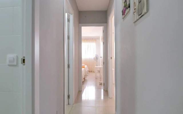 Edf. Las Palmeras 2  40