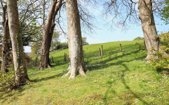 Hill View