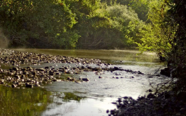 Kigio Wildlife Camp