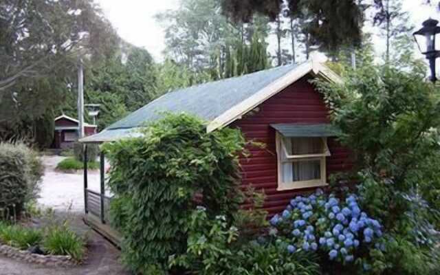 Cedar Lodge Cabins