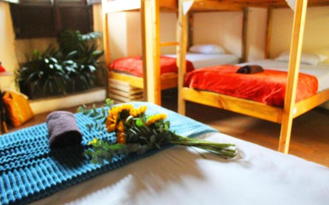 Volko Party Hostel