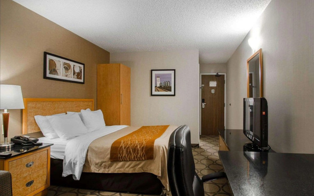 Comfort Inn Prince Albert