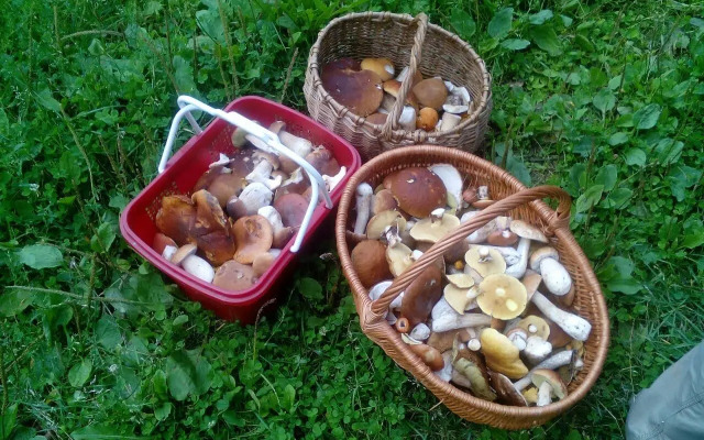 Хутор Корела