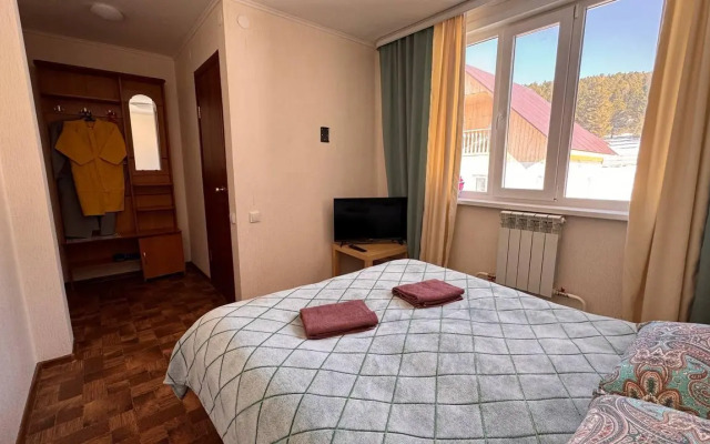 Кедр Золотой