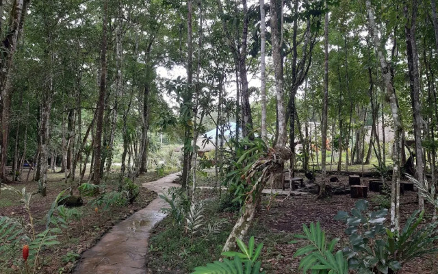 Campamento Lacandones