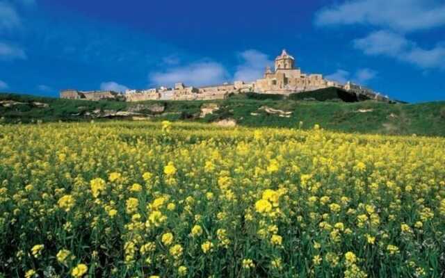 Luxury Holiday Apartment IN Qawra
