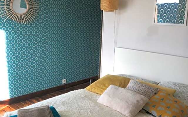 ardoises et agapanthes