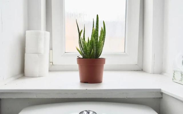 Stylish & Modern Flat Near City Centre, Edinburgh