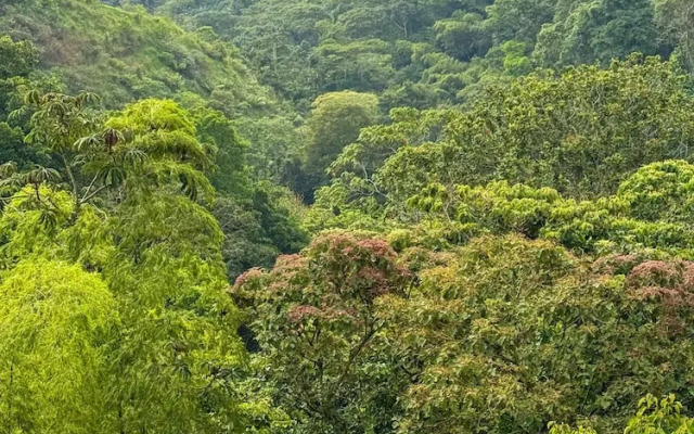 Tukki Ecolodge
