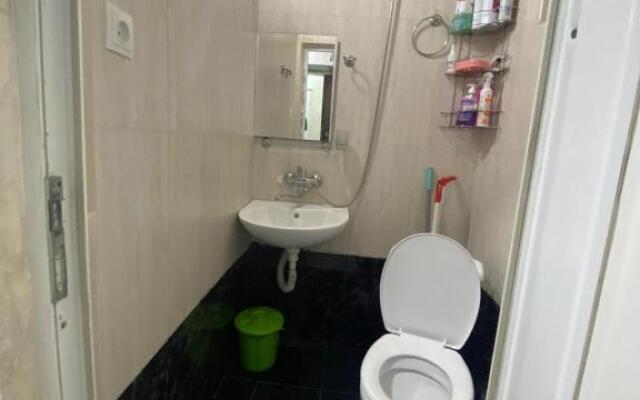 Apartment studio maksim