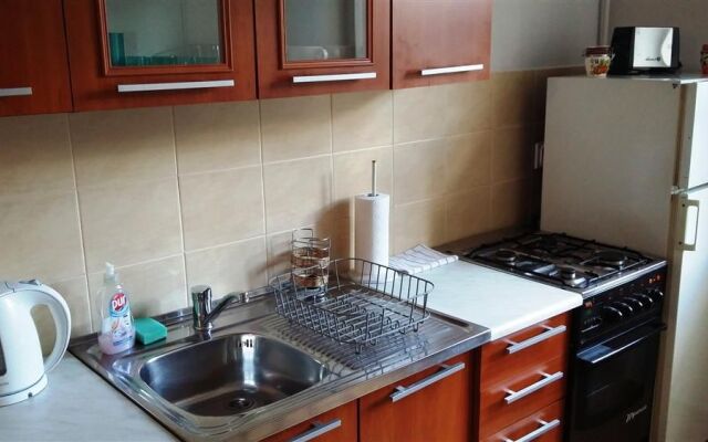 Saint John - AAO 48719