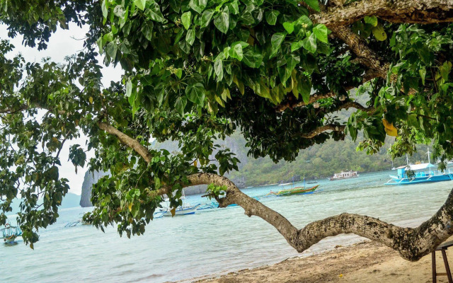 Dormitelsph El Nido