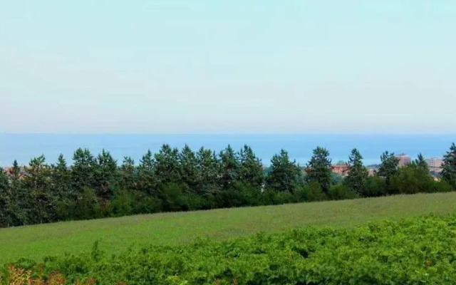 Il Vigneto Country House