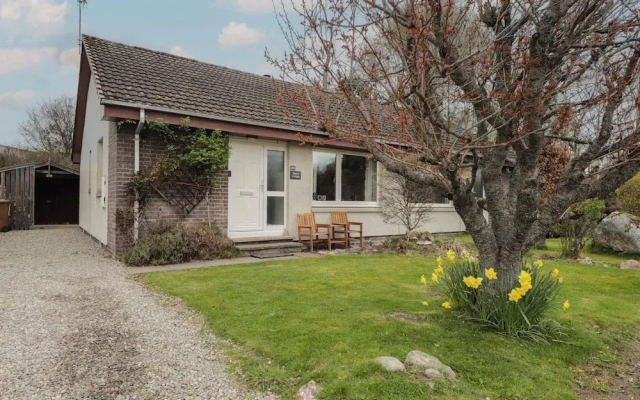 Steam Cottage