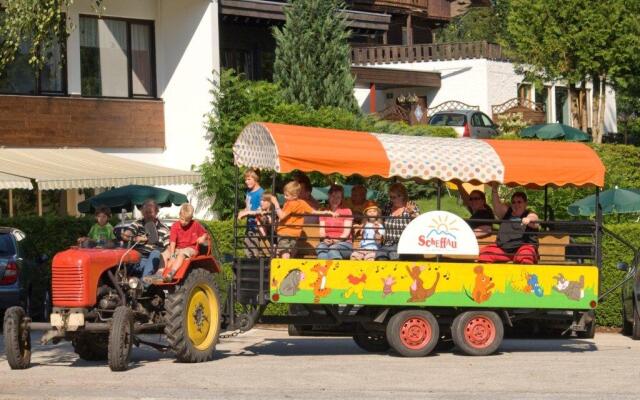 Garni Hotel Alpin Scheffau
