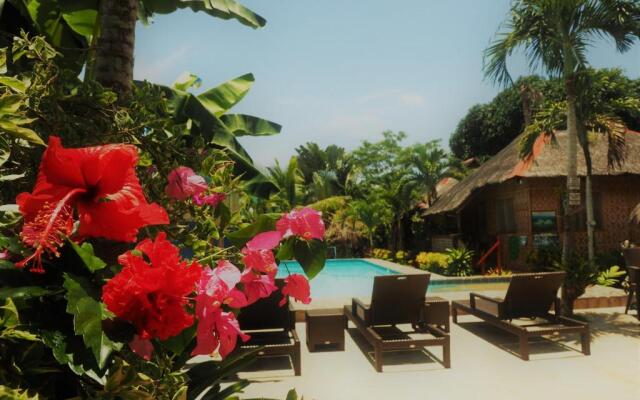 Island Tiki Paradise Resort