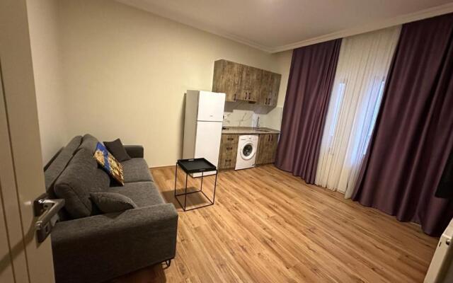 Roj Suite