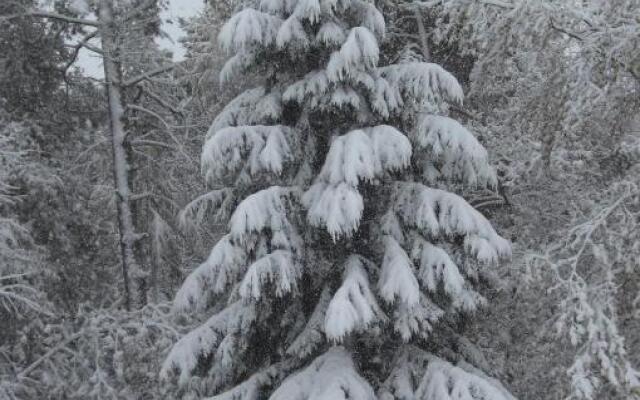 Ferienhaus Huus ton witten Barg