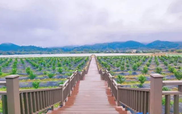 Sanying Cloud Water Mountain Spa Resort Villa
