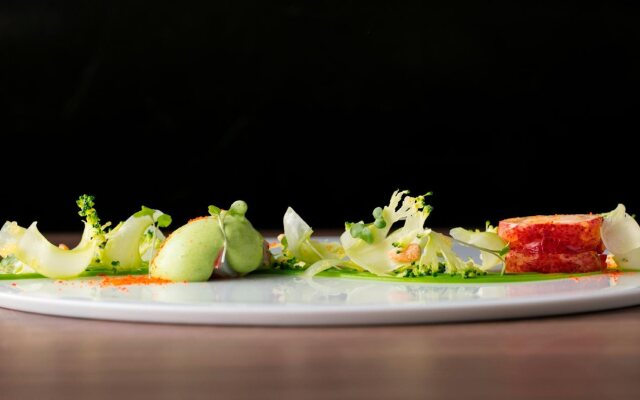 Kyukaruizawa Kikyo, Curio Collection by Hilton