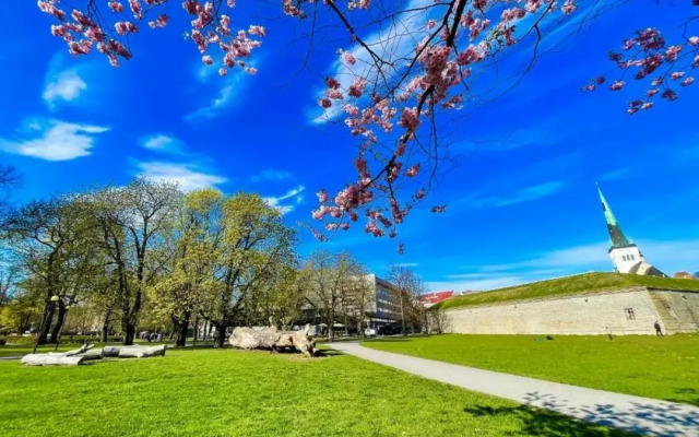 Отель Kalev Spa & Waterpark